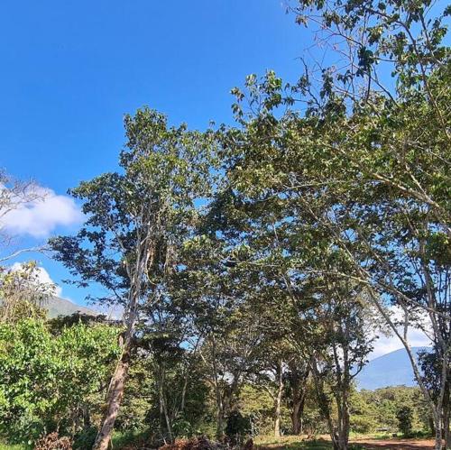 Casa de campo full equipo en Oxapampa. Internet via fibra optica, facil acceso y hermosas vistas.