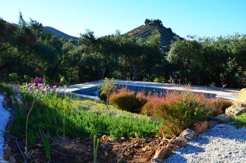 Valley View