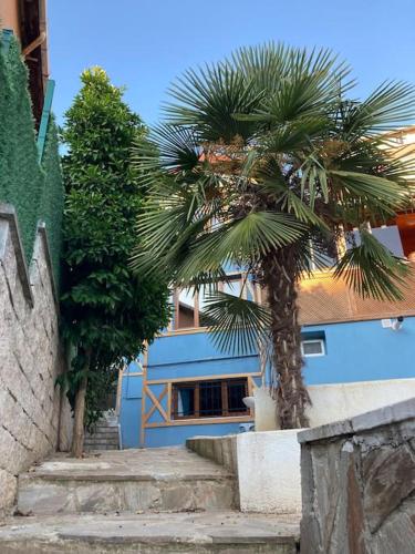 3 katlı evimizin size ait ayrı girisli bir katı