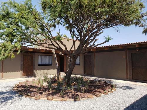 ทัศนียภาพภายนอกโรงแรม, Hotel Viñedo los Arcángeles (Hotel Vinedo los Arcangeles) in โดโลเรส อิดัลโก