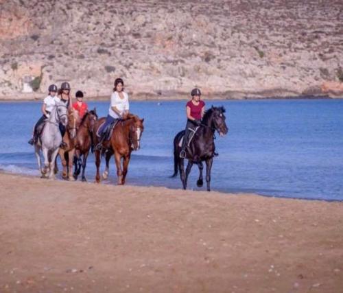 Horseback riding, AMNISIADES APARTMENTS in Nea Alikarnassos