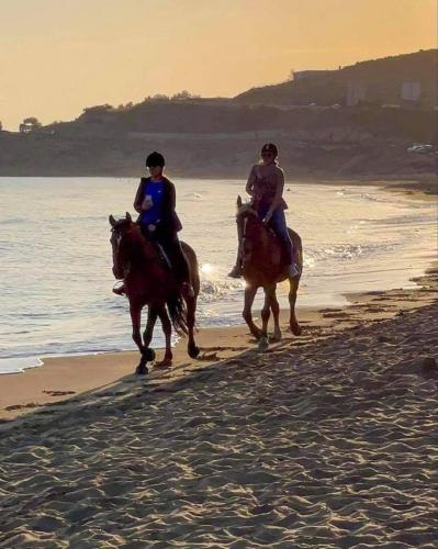Horseback riding, AMNISIADES APARTMENTS in Nea Alikarnassos