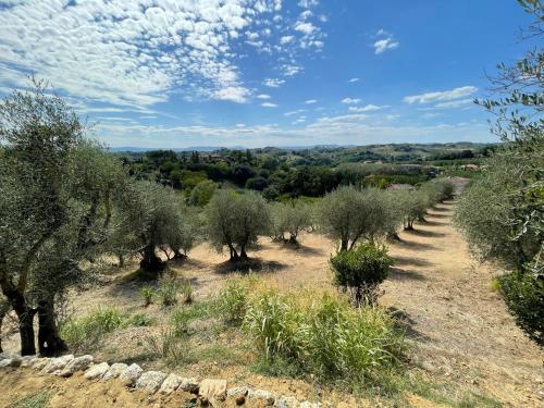 Oliveta del Verde Appartamento con Grande Giardino 500mt dal Centro