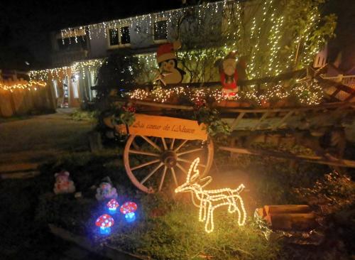 Au coeur de l'Alsace