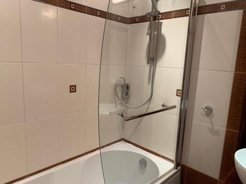 Central and Spacious apartment, Sofia (Foto 8)