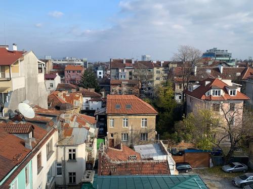 Central and Spacious apartment, Sofia (Foto 2)