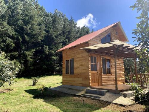 Charming cabin surrounded by nature in Σαν Αντόνιο Παλόπο