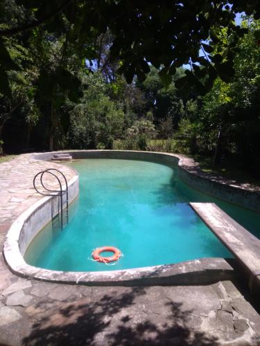 Swimming pool, Compartiendo el paraiso in Caisamar