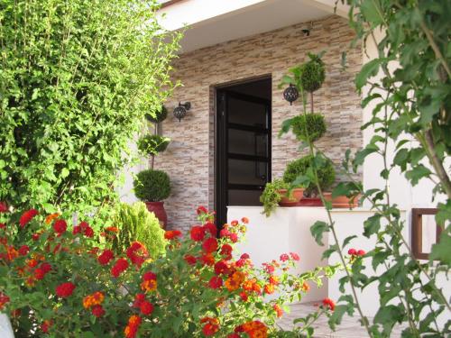 Greek Islands Studios - image 7