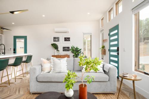 Elwood Street - Chicory
