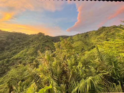 Вид, Finca Cuipo in Buritaca