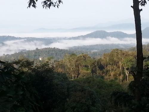 Amritasthanam Homestay