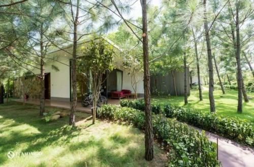 a house with a tree in front of it, Flamingo Dai Lai Resort - Villa Tư Nhân có BBQ in Vinh Yen (Vinh Phuc)