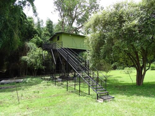 Secret Ivory Farm & Guest House