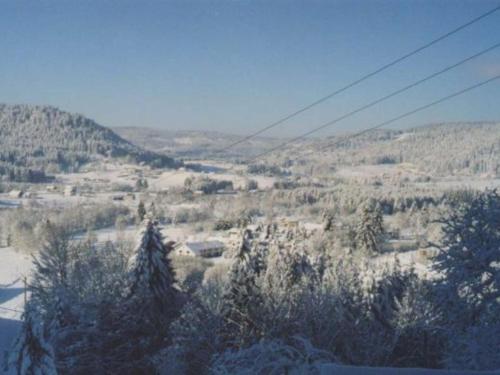 Gîte Liézey, 3 pièces, 4 personnes - FR-1-589-216