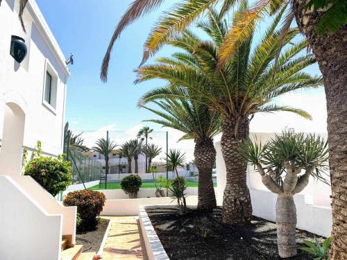 Armonia Pool View & Wi-Fi by iRent Fuerteventura 4