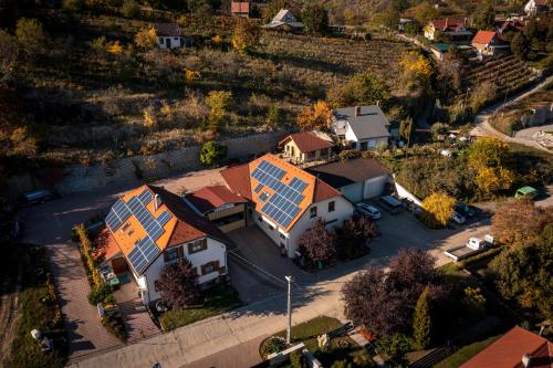 Sárosdi Pince és Panzió - image 9