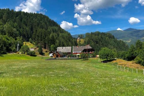 Pension Edlinger - Hotel - Sankt Georgen ob Murau