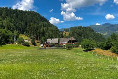 Haus Edlinger in Sankt Georgen ob Murau, Österreich