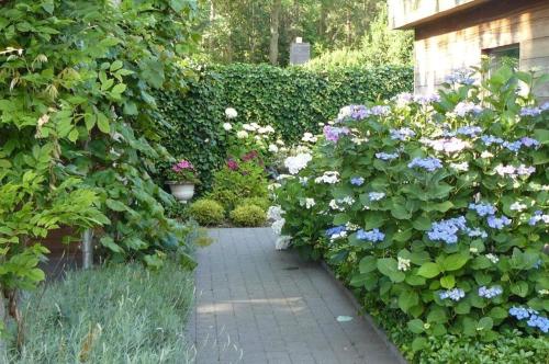 Holiday Home and Office Domisi'l - image 12