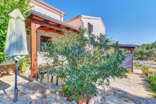 Viesnīcas āriene, Eco Secluded apartments Zabodarski in cunski