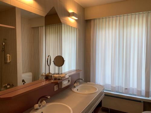 Parkhotel du Sauvage - image 3