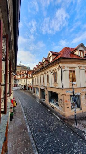 Petkovšek Rooms and Apartments 5