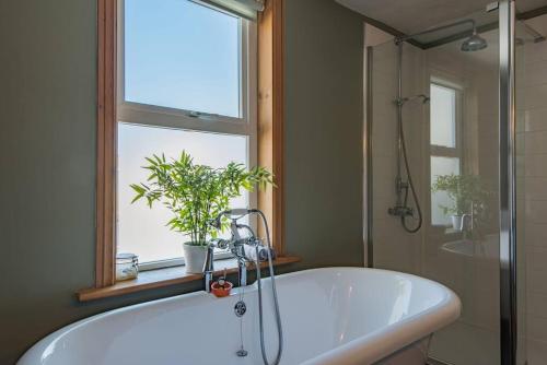 Quirky Victorian cottage near the sea - 18 Nelson Street gîte à louer Sholden