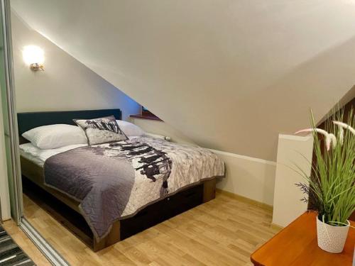 Apart-Center Motyl - image 2