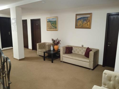 Hotel Ioana - image 10