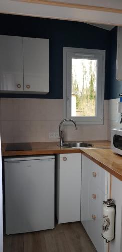 Konyha, Agréable petite maison proche Joigny (Agreable petite maison proche Joigny) in Joigny