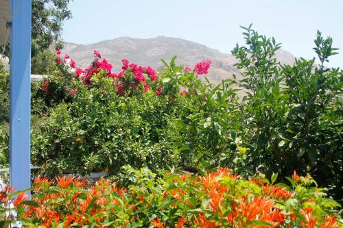  Milios Studios in Megálon Choríon