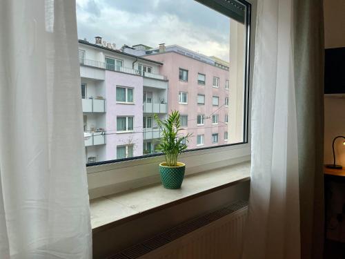 Zentral Netflix Nespresso ! Die ideale Location