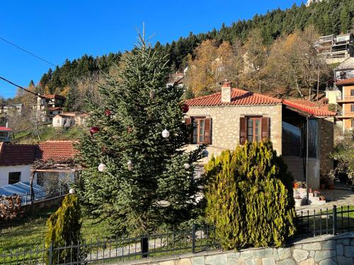 Traditional Stone House