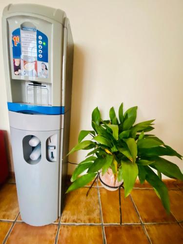  Hostal Sierra de Cadiz in El Bosque