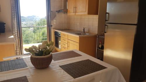 COZY HOME Sivota