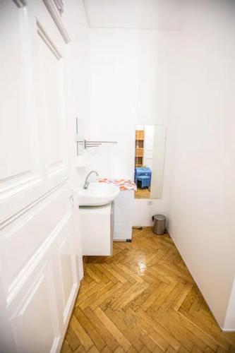 keleti apartment city center big flat bedroom private use