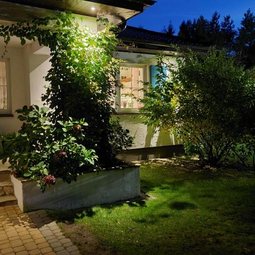 Biała Przystań, Sasino (foto 4)