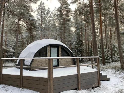 Pokemaja Nõva männimetsas Pokemaja Nõva männimetsas