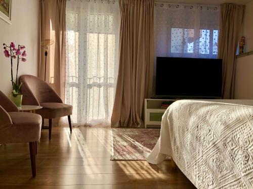 Old Town Romantic Apartment. Breslau-Wroclaw., Breslau