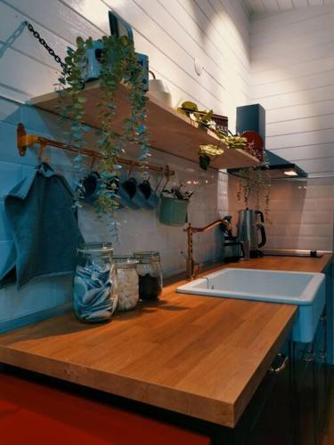 Pentalow Tiny House- Mustakil bahceli