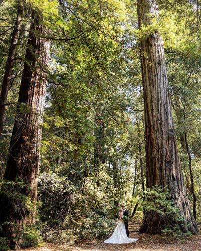 Redwoods River Resort & Campground Redwoods River Resort & Campground