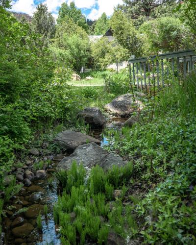 Apple Orchard Inn - image 2