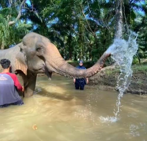 Khao Sok River & Jungle Resort