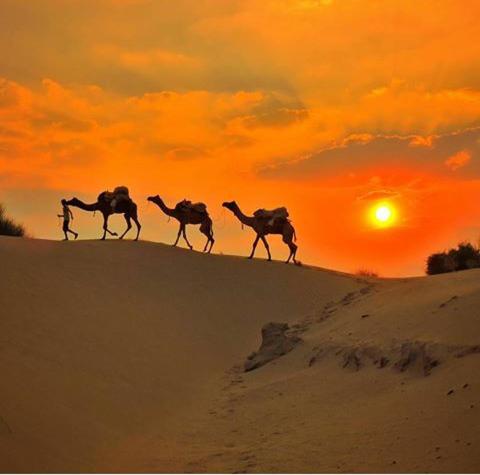 Nomadic Desert Safari Camp