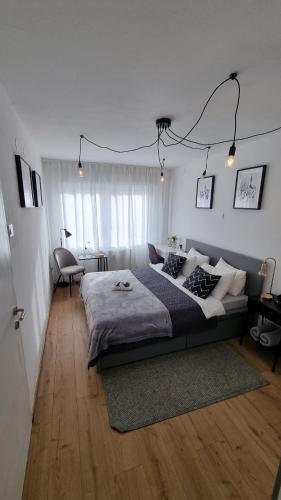 Apartman H8