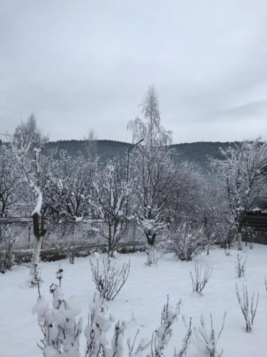 Відпочинок у Верховині, Verkhovyna (photo 2)