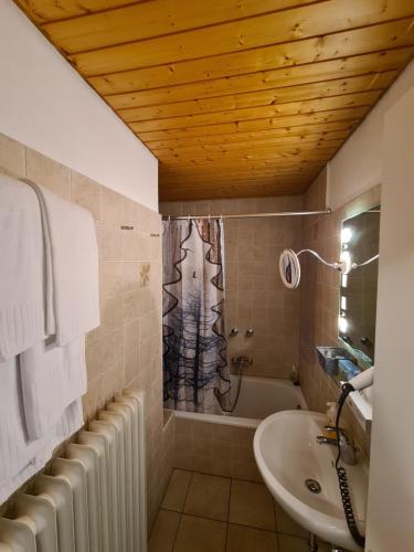 Verena's Parkhotel - image 12
