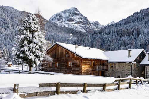 Nido del Brenta Madonna di Campiglio