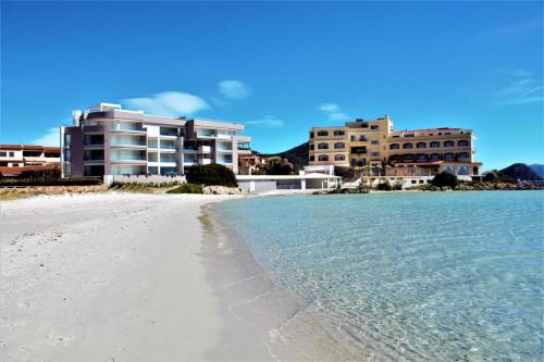 Appartamento delfini sul mare 3